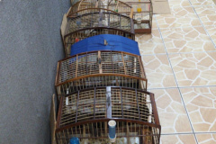 17º Batalhão resgata diversas aves silvestres em São José dos Pinhais, encaminhando uma pessoa