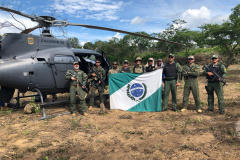 Helicóptero da PM do Paraná localiza plantação que renderia três toneladas de maconha no sertão nordestino