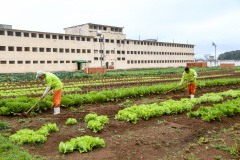  Governo vai investir R$ 14 milhões em reforma de prisões