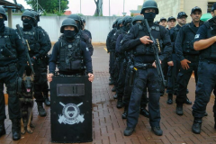 Depen de Maringá desencadeia 278 operações em 42 unidades prisionais em 2019