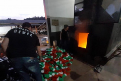  PCPR incinera mais de uma tonelada de drogas em Capanema 