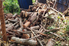 BPAmb-FV encontra toras de árvores nativas e aplica multa no Oeste do estado