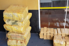 Meia tonelada de maconha é apreendida pelo Batalhão Rodoviário em Cascavel (PR)