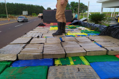  Polícia Rodoviária encontra 3,5 toneladas de maconha escondida em carga de paletes no Noroeste do estado 