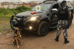 BOPE deflagra operação e cumpre nove mandados de busca e apreensão em Matinhos e Guaratuba