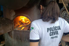 PCPR incinera drogas apreendidas no Verão Maior em Guaratuba