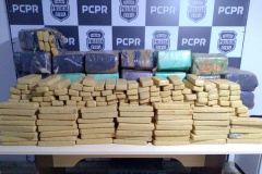 PCPR apreende 741 quilos de maconha em Cascavel