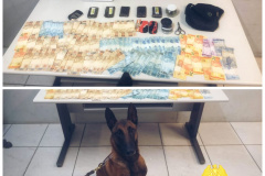 Diversos tabletes de haxixe e mais de R$ 5 mil foram apreendidos pela PM em Curitiba (PR)