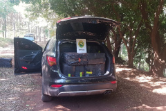 Em uma abordagem, BPFron apreende mais de R$ 1 milhão em cigarros no Oeste do estado