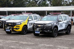  Paraná tem menor número de homicídios dolosos em 13 anos