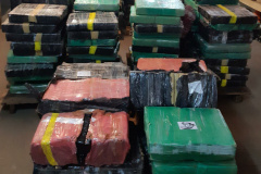 BPFron apreende 1,3 tonelada de maconha em Foz do Iguaçu durante a Operação Hórus