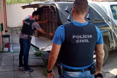 PCPR prende em flagrante suspeito de matar mulher por vingança em Colombo 