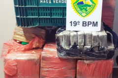 PM presta apoio à Polícia Civil e apreende 700 quilos de maconha em Toledo (PR), no Oeste do estado