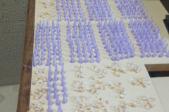 PM apreende mais de 600 porções de cocaína e crack após acompanhamento em Colombo, na RMC