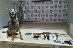 PCPR prende seis pessoas em ações de combate ao tráfico de drogas no Oeste