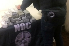 Polícia Civil apreende 11 quilos de maconha na RMC