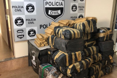 PCPR e PRF apreendem cerca de uma tonelada de maconha no Norte do Paraná