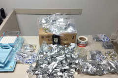 Polícia Civil prende dois suspeitos por comercialização ilegal de anabolizantes em Toledo