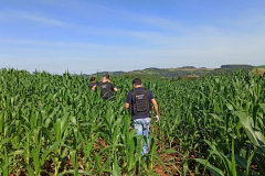 PCPR prende suspeitos de latrocínio contra motorista no Sudoeste do Estado