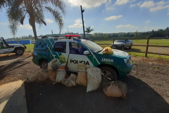  Polícia Ambiental flagra dupla pescando com redes em represa no Norte Pioneiro do estado 