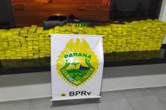 No Noroeste do estado, BPRv apreende quase 200 quilos de maconha que seriam levados até São Paulo