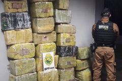  BPFron apreende mais de 5,4 toneladas de maconha e duplica apreensões de maconha no primeiro quadrimestre deste ano 