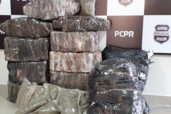 Polícia Civil apreende cerca de 900 quilos de maconha em Umuarama