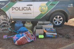 Polícia Ambiental prende seis pessoas e apreende duas toneladas de carvão e três balões, em ações distintas na RMC