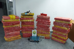 Mais de meia tonelada de maconha é apreendida pelo BOPE em Campo Largo, na RMC