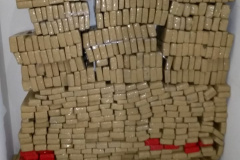 Em Ponta Grossa, PM apreende mais de 371 quilos de maconha e dois homens