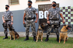  Cães do Bope se aposentam após 9 anos de atuação