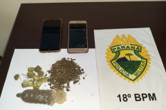 Em ações distintas, PM encaminha oito pessoas e apreende pés de maconha e armas de fogo no Norte do estado