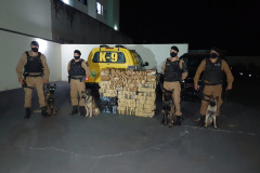 PM prende homem e apreende mais de 350 quilos de maconha em Jussara, no Noroeste do estado