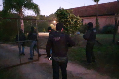 Polícia Civil prende investigados em homicídio tentado e consumado no CIC