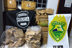 Polícias Civil e Militar apreendem 615 quilos de maconha em Cafezal do Sul