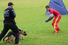  PCPR participa de treinamento integrado de cães policiais em Pato Branco 