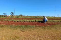 Horta da PIC ganha conceito de reaproveitamento e sustentabilidade