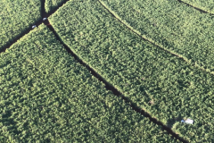 Poucas horas após o crime, helicóptero da PM localiza veículo furtado em Londrina, norte do Paraná