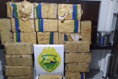 BPRv apreende mais de meia tonelada de maconha no noroeste do Paraná