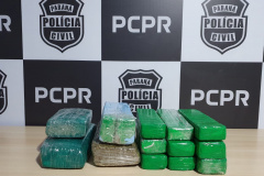 Polícia Civil apreende 10 quilos de maconha em Cascavel