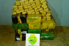 PM apreende mais de 200 quilos de maconha em São Carlos do Ivaí, no Noroeste do estado