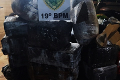 PM apreende mais de 200 quilos de maconha e recupera veículo furtado em Terra Roxa (PR)