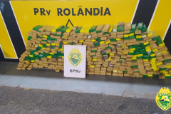 Com duas abordagens, Batalhão Rodoviário apreende mais de 700 quilos de maconha no Interior do estado