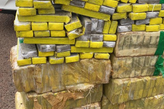  BPRv apreende mais de meia tonelada de maconha ao atender ocorrências distintas no Noroeste do estado 