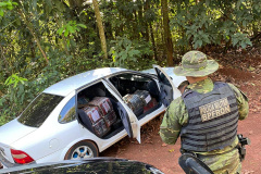 Mais de 1,5 tonelada de maconha são apreendidas pelo BPFron no Oeste do estado