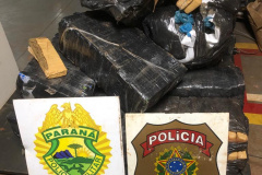 Equipes da Operação Hórus apreendem 300 quilos de maconha em Guaíra