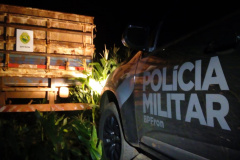 BPFron causa prejuízo de R$ 2,2 milhões a contrabandistas com apreensão de cigarros no Oeste do estado