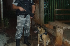 PM e GAECO deflagram terceira fase da Operação Sicário e prendem dois por envolvimento com tráfico e lavagem de dinheiro