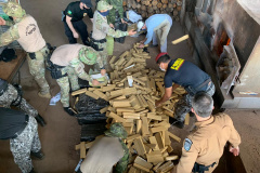 Na semana do combate ao tráfico de drogas, 15 toneladas de drogas apreendidas pela Operação Hórus são incineradas no Paraná