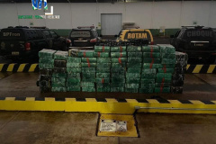 Operação Hórus: PM e PC apreendem quase duas toneladas de maconha em Querência do Norte (PR)